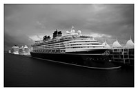 DISNEY MIAMI