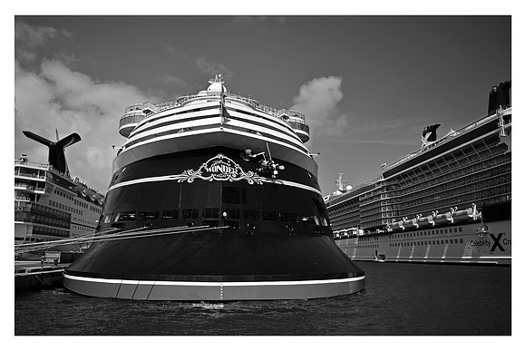 WONDER STERN NASSAU