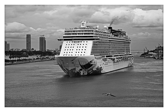ESCAPE MIAMI BASIN