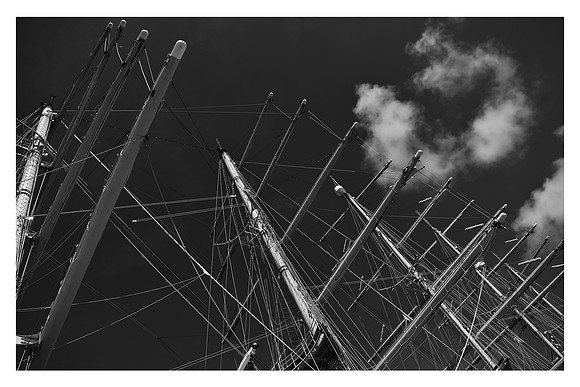 MASTS